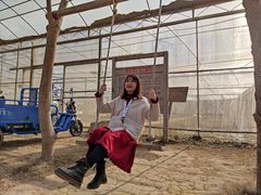 -前小桔亲子创意农场·草莓采摘·露营烧烤