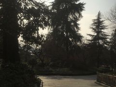 -西湖外事游船(花港观鱼码头)