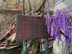 -老君山风景名胜区