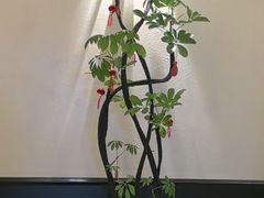 -涟LIAN·泰式按摩·MASSAGE·SPA(深业上城店)