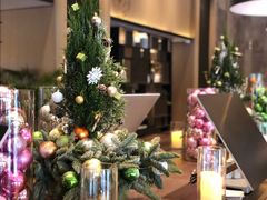 -新加坡瑞士史丹福酒店