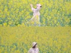 -光明小镇欢乐田园