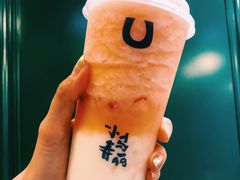 -春丽小马(济南恒隆广场店)