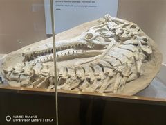 -抱璞文化展示中心