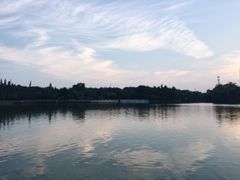 -圩墩遗址公园