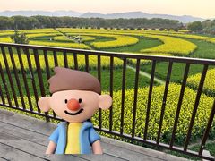 -苏州太湖西山岛开心农场