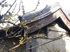 -颐和园