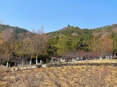 -十三陵水库