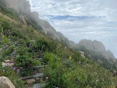 -白草畔自然风景区