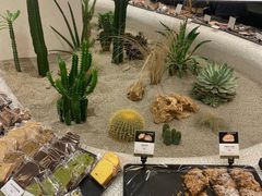 -OUR Bakery(SKP-S店)