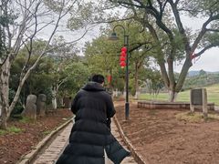 -雨花胜境