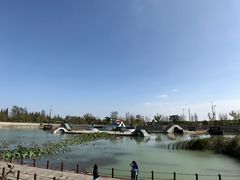 -泗洪洪泽湖湿地景区
