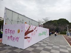 -高东镇樱花园