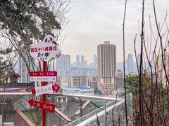 -嫩芽 ·地道重庆菜(十八梯露台夜景店)