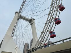 -海河游船-永乐码头(大悲院)