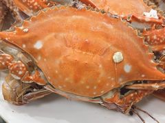 -渔民船说·北塘海鲜·天津菜·海肠捞饭(北塘古镇店)