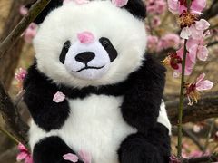 -栾川竹海野生动物园