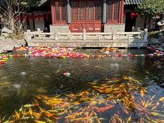 -下海庙