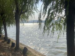 -艾溪湖湿地公园