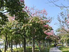 -顺峰山公园