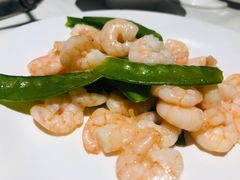 -五月罗马海鲜自助餐厅(陆家嘴店)