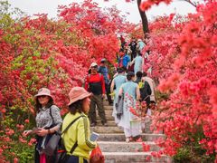 -岳西天峡风景区