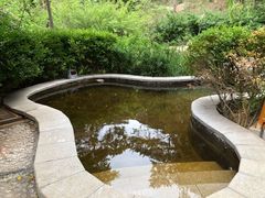 -徂徕山森林康养度假谷温泉