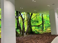 -极简口腔(总院)