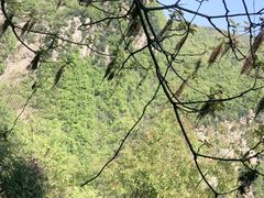-沣峪森林公园龙潭戏水景区