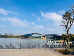 -上海长兴岛郊野公园