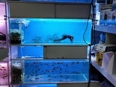 -三旗百汇商品城