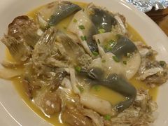 -9号小厨师(端平桥店)