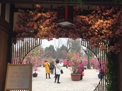-秀丽东方