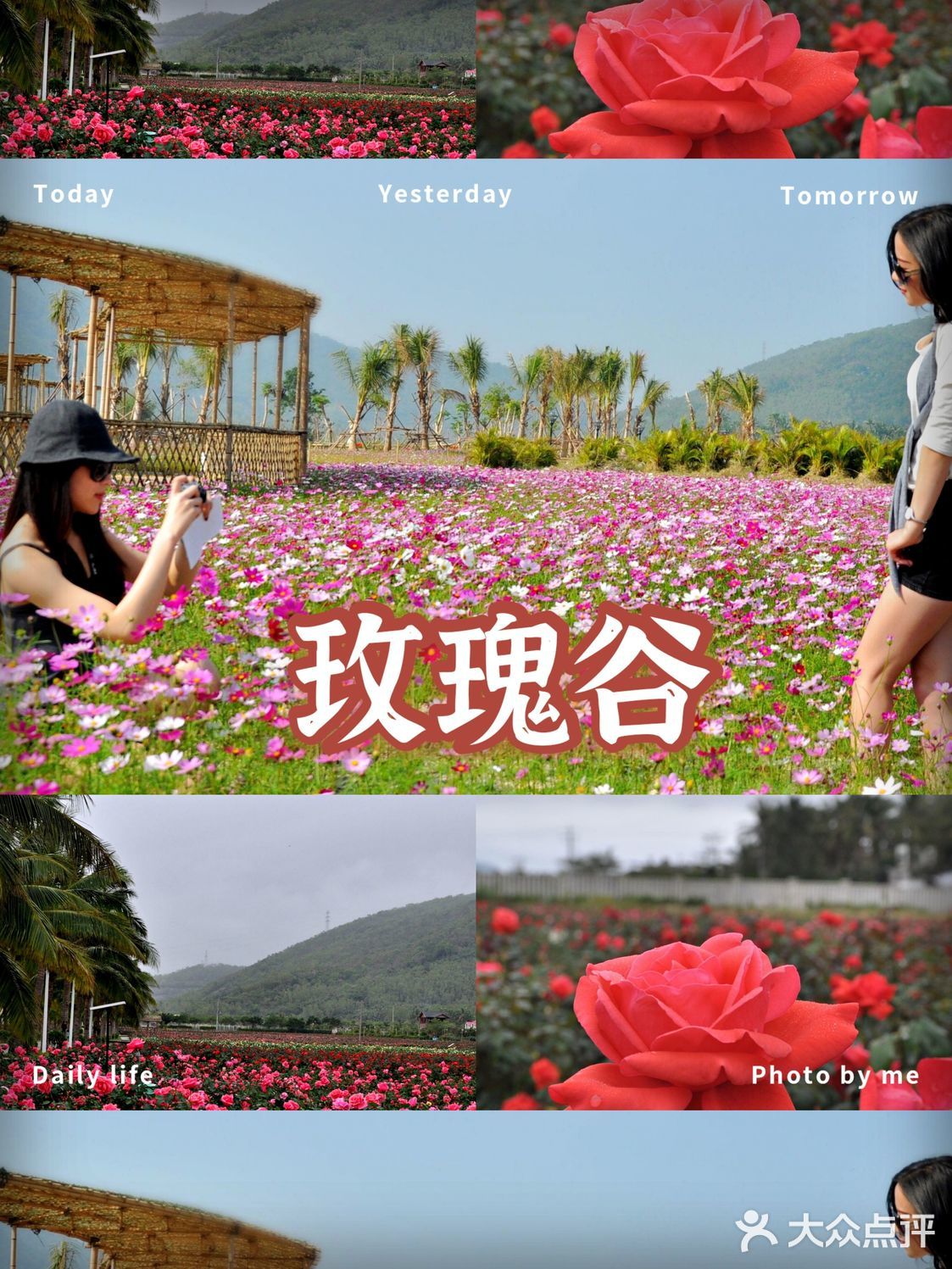 来了三亚，一定要尝试一下地道的三亚美食