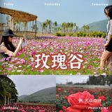 来了三亚，一定要尝试一下地道的三亚美食