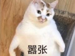 -河畔春天时尚餐厅