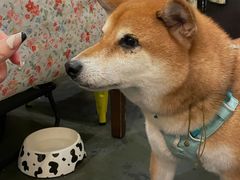 -花满楼(启秀路店)