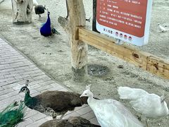 -水上乐园·欢乐世界