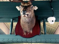 android_upload_pic-有才叔的小馆(招商依云曲江店)