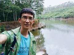 -大屏嶂森林公园