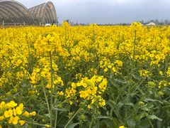 -中国天府农业博览园