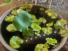 -813芭依珊 BAESAn(皇冠十畝地店)