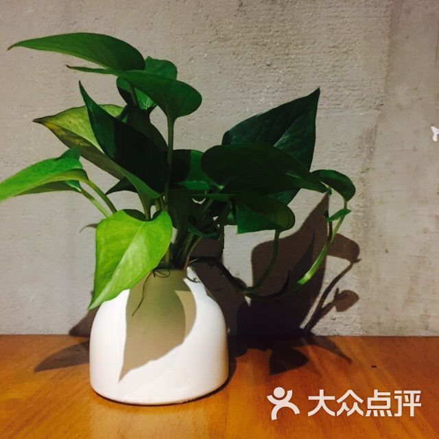 良库咖啡-图片-兴化市美食-大众点评网