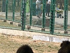 -鄂尔多斯野生动物园