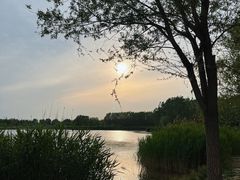 -马家湾湿地公园