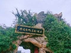 -大槐树寻根祭祖园