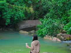 -广州白江湖森林公园