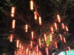 -荔湾湖公园