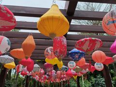 -深圳国际园林花卉博览园