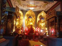 -华林禅寺